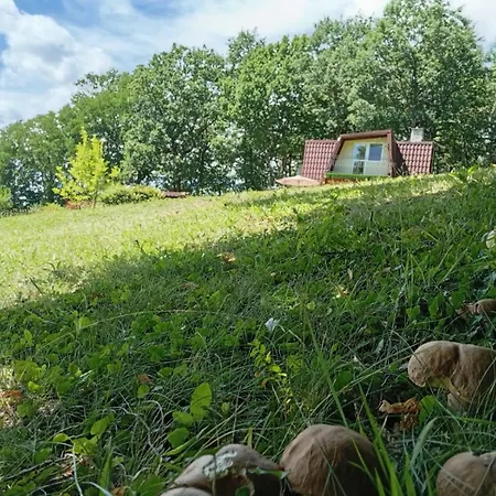 Szumia Deby - Marcyporeba