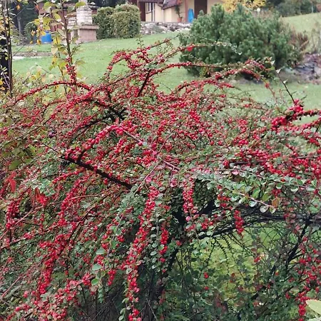 Szumia Deby - Σπίτι διακοπών *