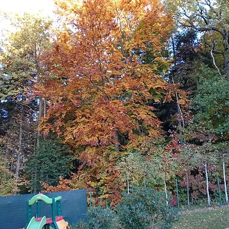 Σπίτι διακοπών Szumia Deby - *