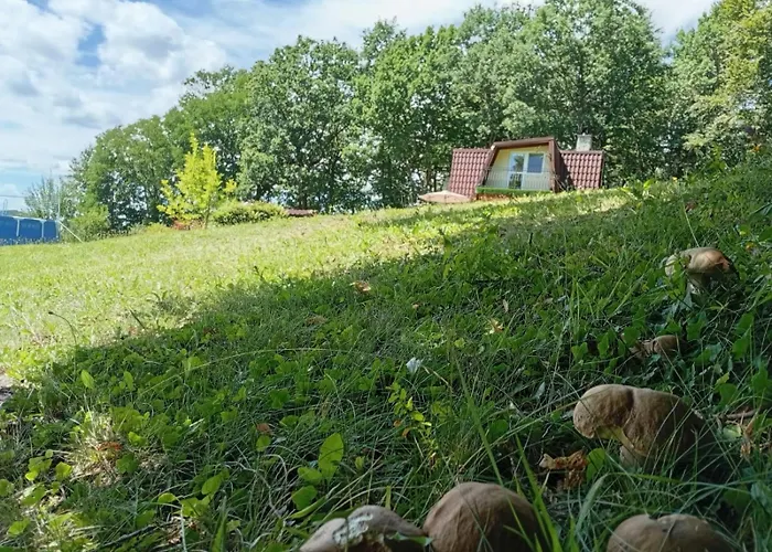 Szumia Deby - Marcyporeba