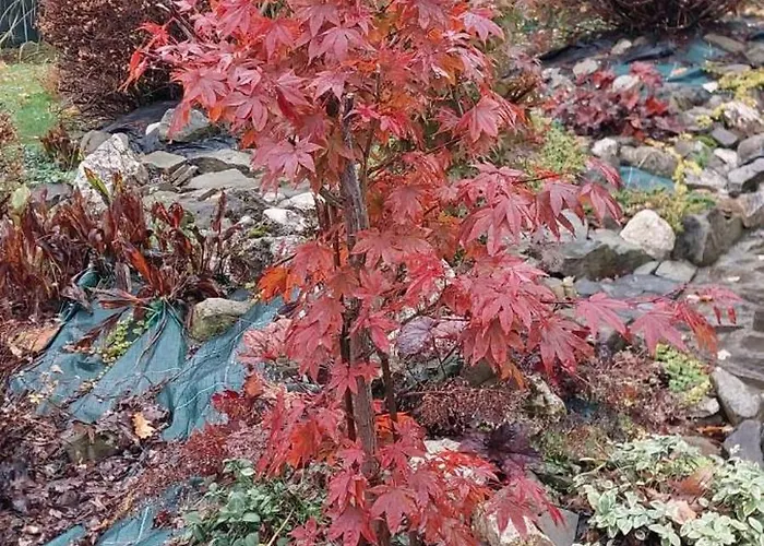 Szumia Deby - Casa vacanze