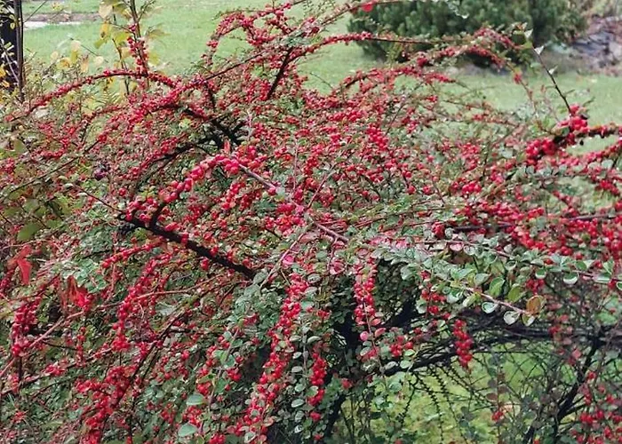 Szumia Deby - Casa vacanze *