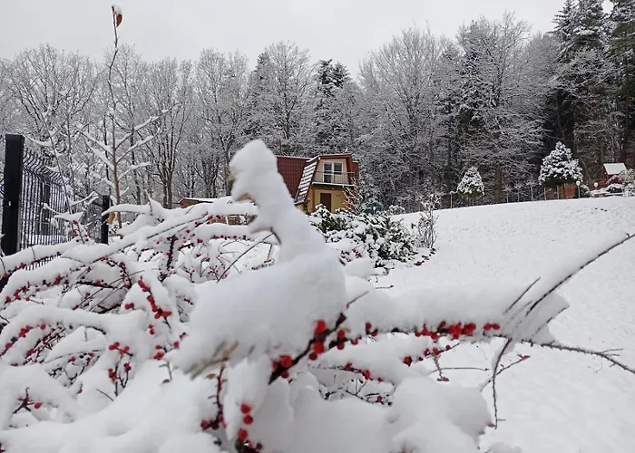 Casa vacanze Szumia Deby - Marcyporeba